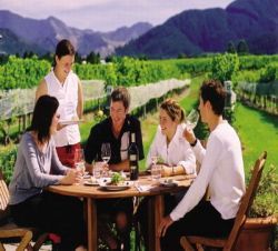 FAHRRADRUNDREISEN - Fahrradrundreise Neuseeland - Wine Trail Magic